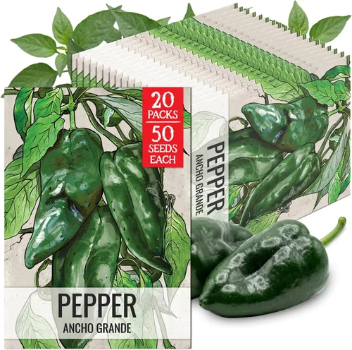 Vista 72 de Seed Needs - Semillas de pimiento arcoíris para plantar verduras, 1 paquete