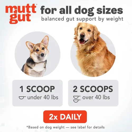 Vista 5 de Suplemento en polvo 3 en 1 totalmente natural para perros, prebióticos y posbióticos, probióticos para perros con 135 mil millones de UFC