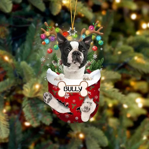 Vista 110 de IZI POD Affenpinscher Adorno de Navidad personalizado para perro, adorno de bolsillo de nieve para perro para árbol de Navidad, adorno acrílico