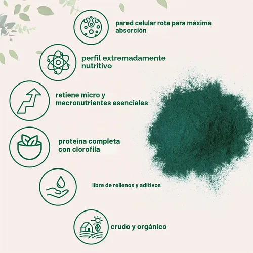 Vista 4 de Micro ingredientes USDA, Chlorella en polvo, orgánico, 1.1 libra, El mejor alimento, rico en vitaminas y proteínas