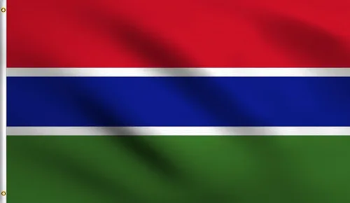 Vista 119 de DMSE - Bandera nacional beninesa beninesa de la República de África Occidental, 2 x 3 pies, 100 % poliéster, 100 % poliéster, resistente a los rayos