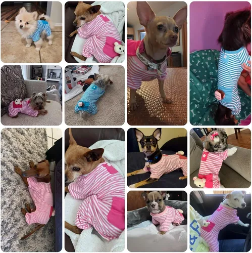 Vista 2 de S-Lifeeling Ropa para cachorros - Pijama cómodo para perros con rayas (XS, amarillo)