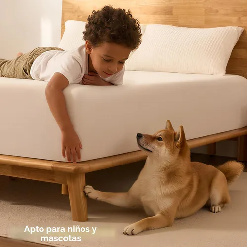 Vista 10 de FLEXISPOT Hako G1 - Cama de plataforma de madera maciza tamaño Queen con montaje sin herramientas Roble natural
