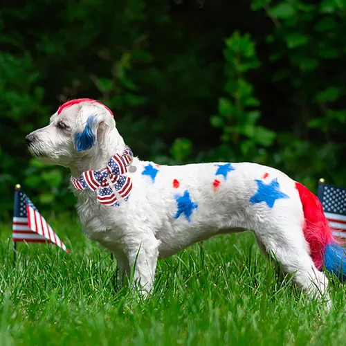 Vista 4 de Collar patriótico para perro con pajarita, collar de perro con lazo del 4 de julio, collar de bandera estadounidense para cachorros, machos