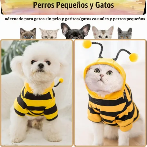 Vista 5 de DENTRUN Sphynx - Suéter de gato, divertido disfraz de abeja y ropa cálida transpirable