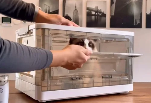 Vista 5 de Caja de nebulización, nebulizador para gatos, nebulizador para perros, incubadora de gatitos, unidad de calefacción no incluida, incubadora