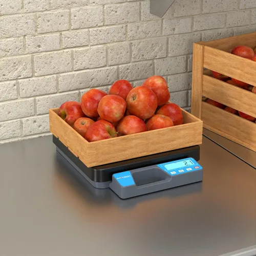 Vista 2 de RSB100T - Báscula digital de recepción de 100 libras con mango incorporado y plato con banda de rodadura