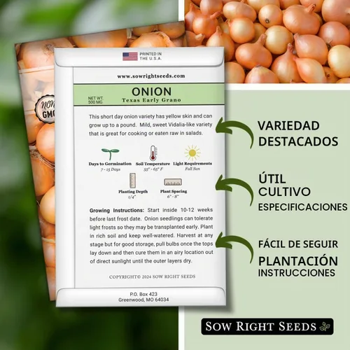 Vista 2 de Sow Right Seeds Cebolla Grano Temprana de Texas