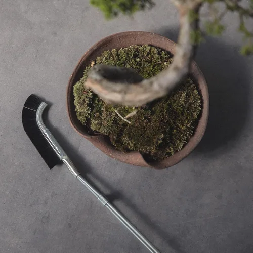 Vista 2 de Wazakura Cepillo De Cabeza Curva Bonsai Hecho En Japón 9-1/4inch(235mm) - Negro