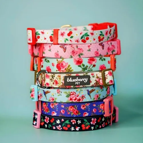 Vista 3 de Blueberry Pet 10+ Patrones Primavera Aroma Floral Collares, Collares Personalizados Turquesa