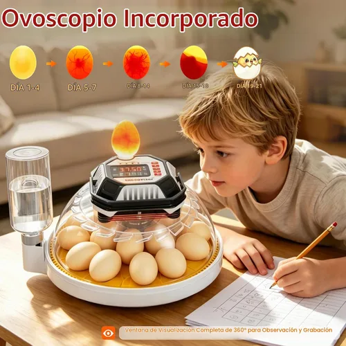 Vista 5 de Incubadoras de huevos de triocottage para incubar huevos, control de temperatura y humedad
