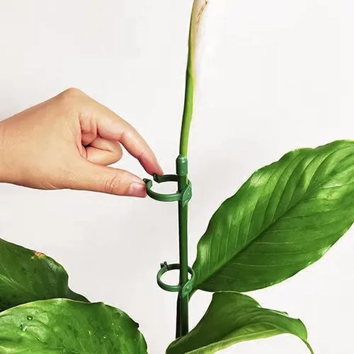Vista 4 de 20 estacas de soporte para plantas, altura ajustable, para jardín, con 40 clips para plantas y 10 tubos de conexión para orquídeas, rosas, peonías