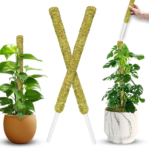 Vista 15 de DUSPRO Poste de musgo de malla apilable para plantas trepadoras, soporte de enredadera Monstera, para plantas de interior, palo extensible para 2