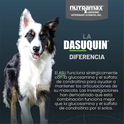 Vista 6 de Dasuquin para perros pequeños y medianos, 84