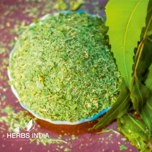 Vista 5 de Hojas de neem trituradas (no en polvo), bueno para hacer té fresco de hojas de neem 21.16 oz (21.2 onzas), suplementos herbales - HerbsIndia