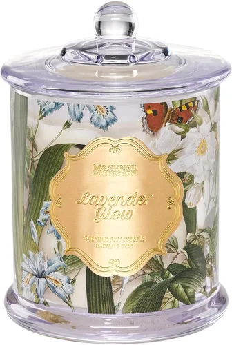 Vista 12 de M&SENSE Velas de Cítricos para el Hogar Aromáticas, Vela de Soja Orgánica Natural de 12.7oz 75 Horas de Larga Duración de Combustión Lenta, Vela