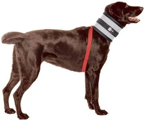 Vista 3 de Collar, Multicolor