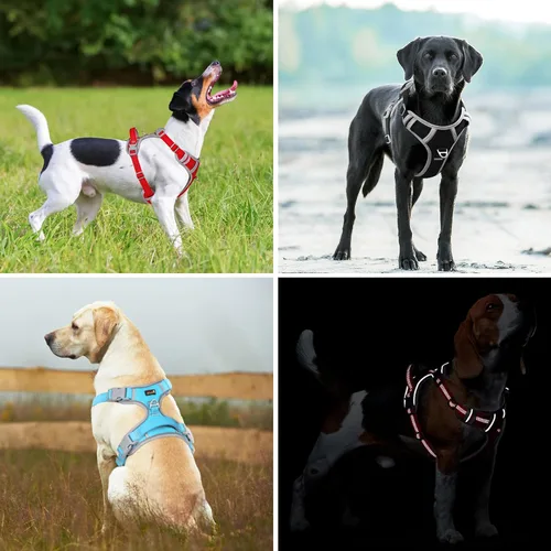 Vista 6 de Plutus Pet Arnés para perro sin tirones, liberación en el cuello, arnés reflectante ajustable para perro, asa de fácil control para caminar
