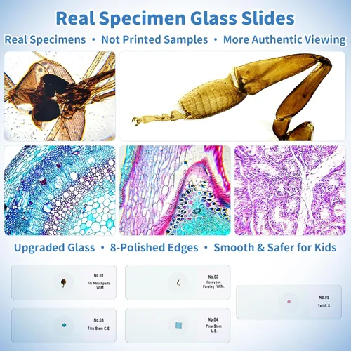 Vista 7 de Microscopio portátil 1000X para niños, pantalla 4K de 2.0 pulgadas, mini microscopios digitales de bolsillo recargable, kit de diapositivas