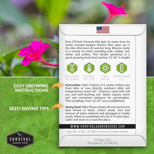 Vista 2 de 1 paquete de semillas de mezcla de fórmula de cuatro en punto para plantar con instrucciones para cultivar flores coloridas en tu hogar, vegetales
