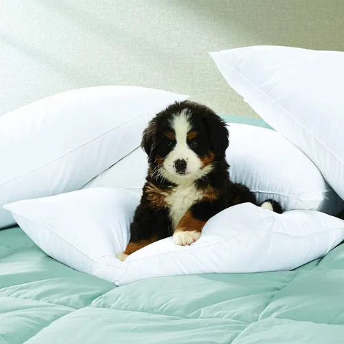Vista 4 de Cuddledown Dreamstead 800 Fill Power Almohada Plumón de ganso blanco europeo Carcasa 100% algodón, tejido satinado, hipoalergénica, hecha a