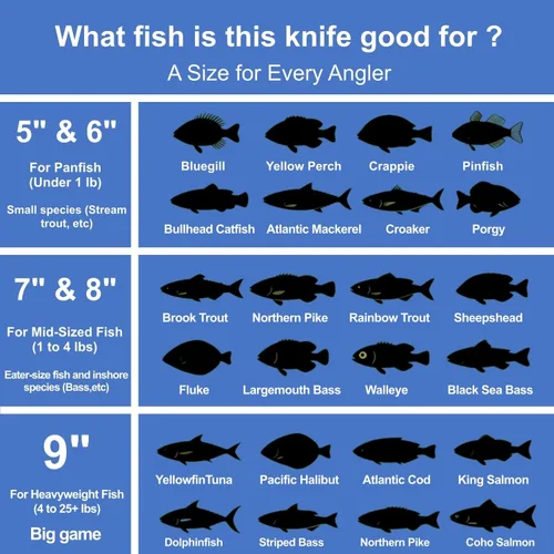 Vista 8 de ANTOWIN Cuchillo de filete de 7 pulgadas para pescado, hoja de acero inoxidable SG2 japonés de grado profesional, cuchillos de filete de pesca