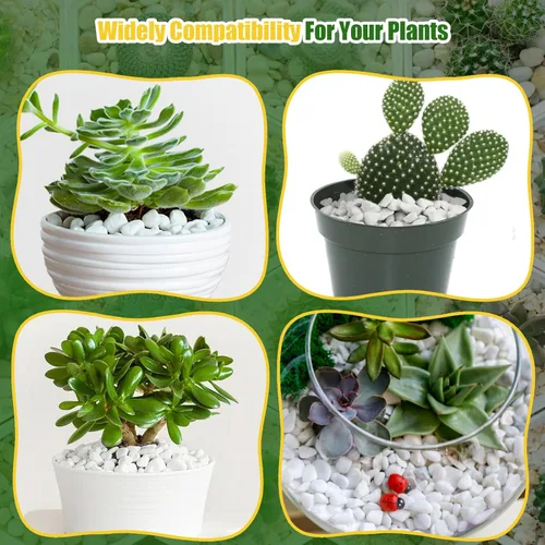 Vista 6 de Doter Perlita gruesa orgánica para plantas (0.4 a 0.8 pulgadas de diámetro), mezcla de acondicionador de aditivo natural para suelos