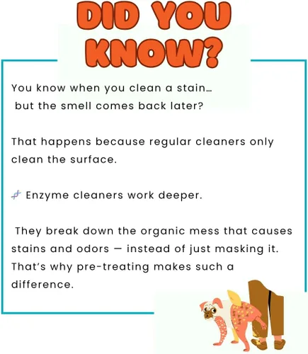 Vista 4 de Speed Cleaning Pet 'Oops' Non Toxic Pet Safe Enzyme Cleaner Concentrate