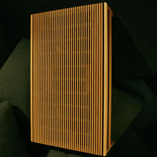 Vista 14 de Bang & Olufsen Beosound Level - Altavoz portátil multihabitación con Wi-Fi, tono dorado/roble claro