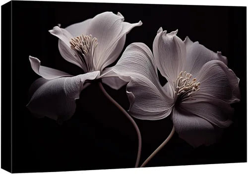 Vista 33 de wall26 Lienzo impreso para pared, diseño de rosa del desierto, suculentas, naturaleza, desierto, fotografía, realismo, floral, botánico, suroeste