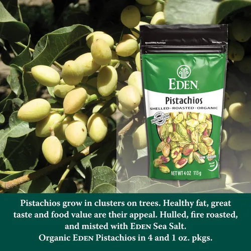 Vista 4 de Eden Pistachos orgánicos, sin cáscara, tostados y rociados con sal marina, cultivados en California, 4 onzas