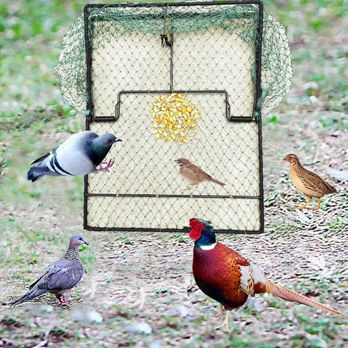 Vista 3 de Trampa para pájaros de paloma, codorniz, gorrión, resorte, estornino, red de captura de trampas para atrapar