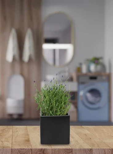 Vista 4 de Serene Spaces Living Juego de 4 jarrones negros en forma de cubo, modernos jarrones cuadrados de cerámica negro mate para centros de mesa