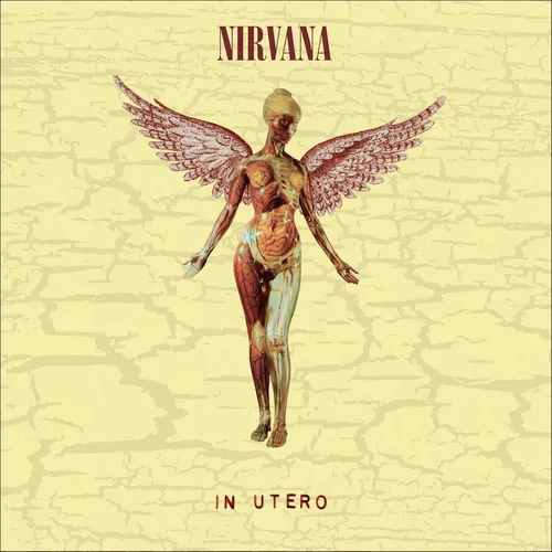 Vista 2 de In Utero (30th Anniversary LP+10 inch)