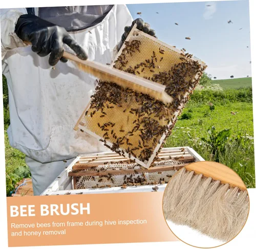 Vista 3 de SUPVOX Cepillo de abeja resistente con mango de madera para apicultores para mantenimiento de colmenas