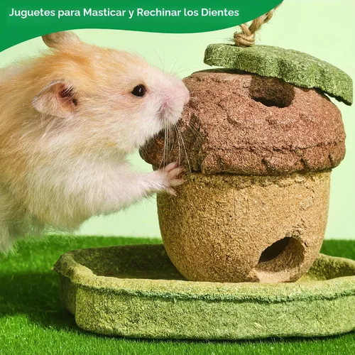 Vista 3 de Juguetes de conejillo de indias, paquete de 2 juguetes masticables de Juguetes masticables Timothy Heno Natural Treats Vegetales Moler los dientes