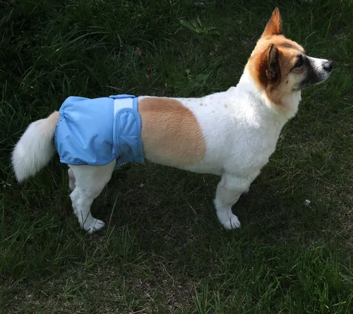 Vista 6 de JoyDaog Pañales para perros pequeños, paquete de 4 pañales reutilizables para cachorros, S