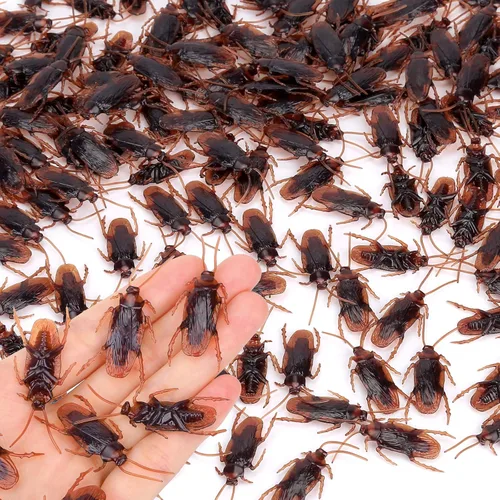 Vista 7 de Riomeira Cucarachas Falsas Premium, Cucarachas Falsas Bastante Realistas, Excelente Manera de Hacer una Broma, Cucarachas Falsas Realistas