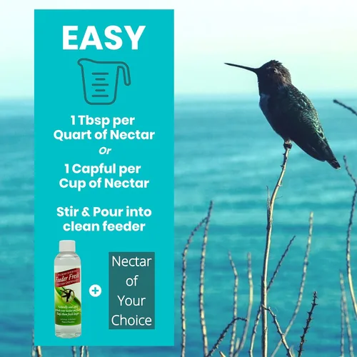 Vista 4 de Nectar Defender - Extensor de néctar de colibrí que prolonga la vida útil del néctar para comederos de colibríes, seguro para pájaros y natural