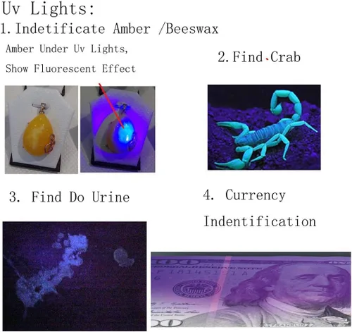 Vista 4 de QLEE Linternas UV LED 3 en 1 luces ultravioleta joyería piedras preciosas inspección luces gema corriente autenticar flash luz detector antorcha