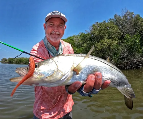 Vista 6 de Q8 Super Bait Bullet Jerk Bait
