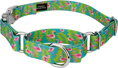 Vista 9 de Country Brook Petz - Collar de perro Martingala de dinosaurios con hebilla premium - Colección Critter Corner con 6 diseños temáticos de criaturas