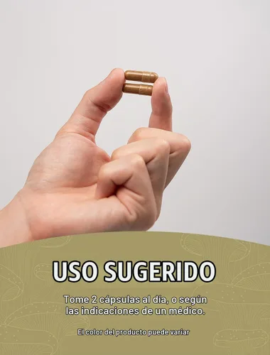 Vista 4 de BulkSupplements - Cápsulas de hongo cola de pavo – Extracto de Coriolus Versicolor, extracto de hongo de cola de pavo – Vegano y sin gluten, 2