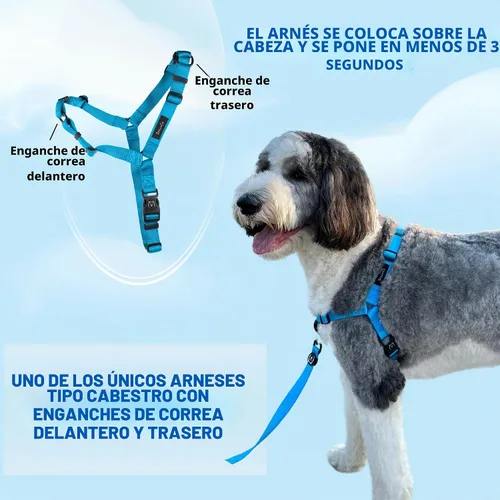 Vista 6 de ShawnCo Dream Walk Arnés para Perros Sin Tirones - Ajustable, Cómodo, Fácil de Usar, Cabestro para Mascotas para Ayudar a Detener los Tirones