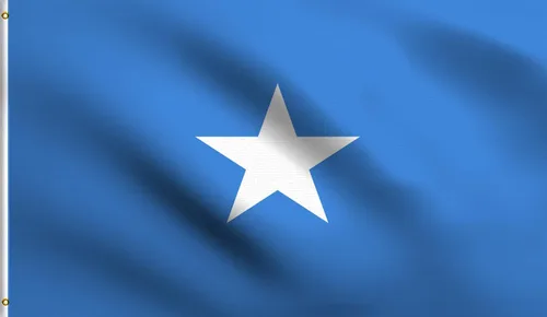 Vista 45 de DMSE - Bandera nacional beninesa beninesa de la República de África Occidental, 2 x 3 pies, 100 % poliéster, 100 % poliéster, resistente a los rayos