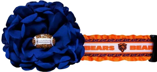 Vista 2 de Collar de perro Bears