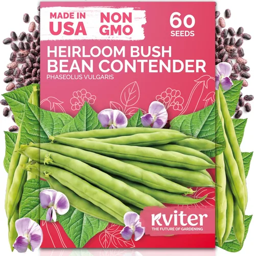 Vista 27 de KVITER 3000 semillas de espinaca egipcias - Molokhia (Corchorus Olitorius) - Hojas de yute, Ewedu, Día de Rau, Semillas de vegetales Saluyot