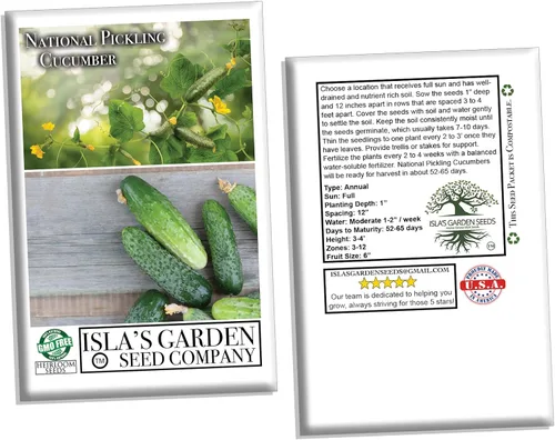 Vista 4 de Semillas nacionales de pepino encurtido para plantar, más de 75 semillas tradicionales por paquete, semillas de jardín de Isla