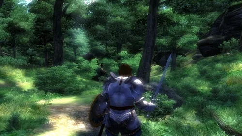 Vista 7 de The Elder Scrolls IV Oblivion - PC Game of the Year Edition