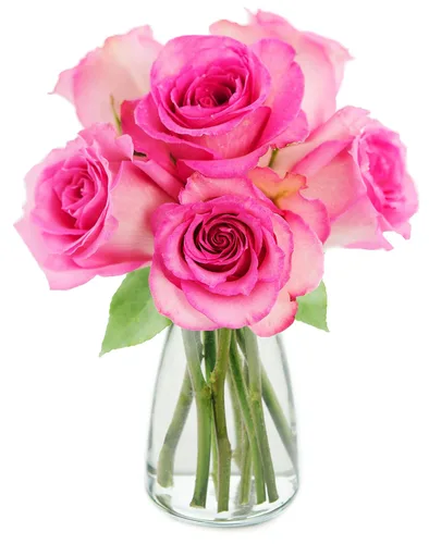 Vista 37 de KaBloom - Rosas arcoíris (media docena)- Flores frescas para cumpleaños, San Valentín y Día de la Madre